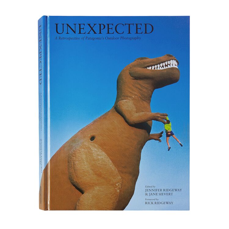 Libro Unexpected