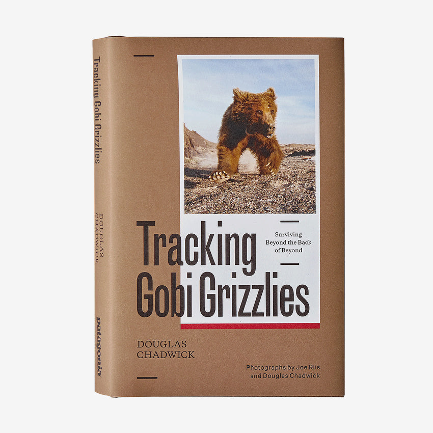 Libro Tracking Gobi Grizzlies